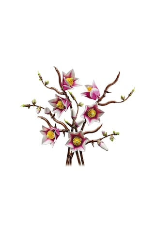 Lego Botanicals Manolya Dalları 11510