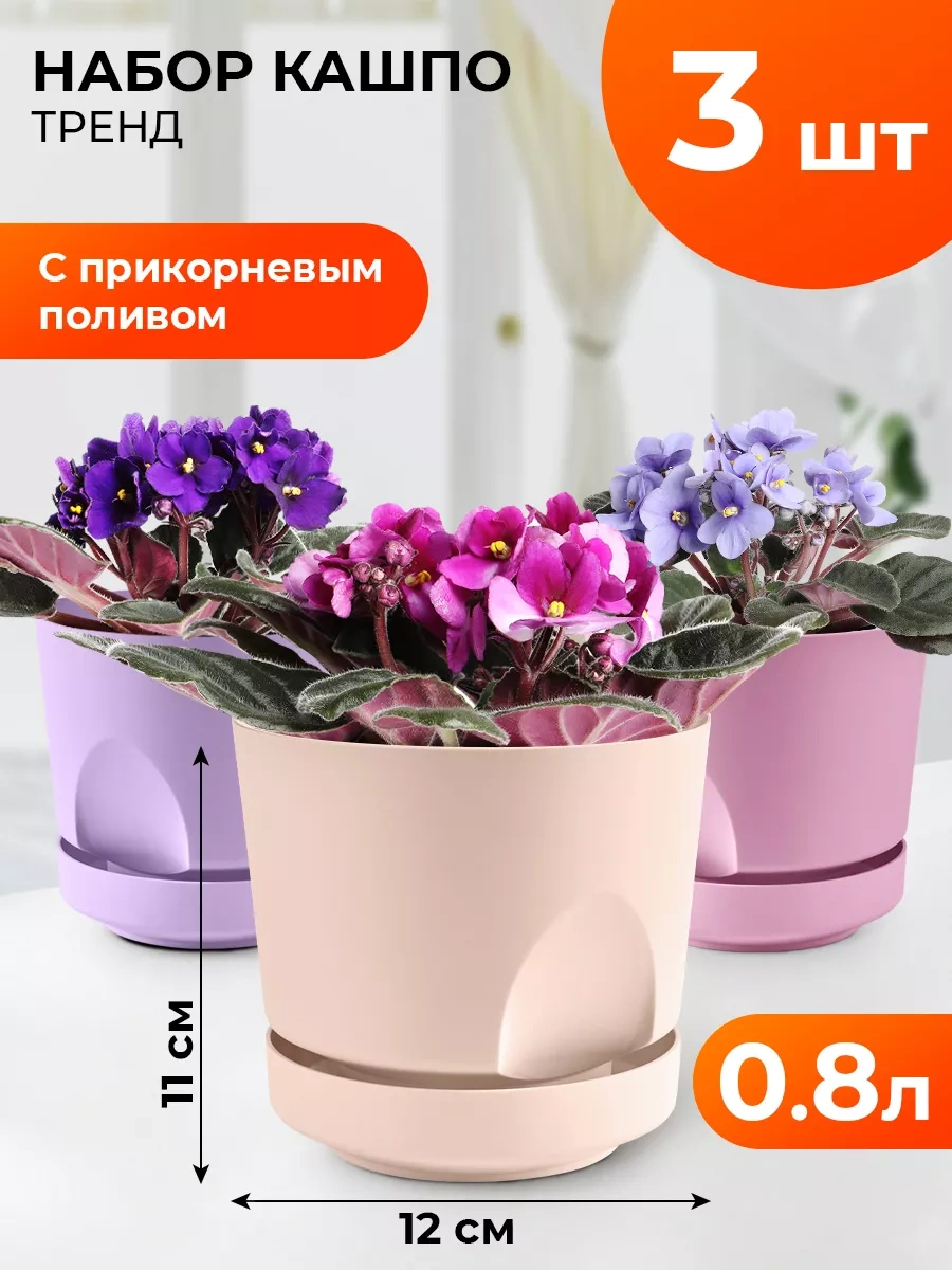 La Decoro Sukulentler İçin Saksı, Menekşe Saksıları, Kaktüs Saksısı. 233787581