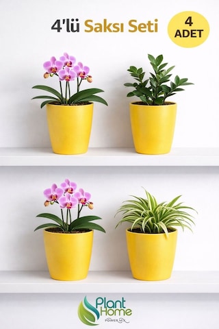 Dekoratif Sarı Orkide Saksısı - 4 Adet Set -12 Pot Üretim Saksısına Uygun Kaliteli Ürün