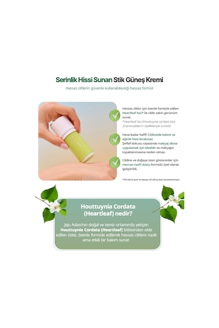 Serinletici Stik Güneş Kremi Goodal Houttuynia Cordata Calming Cooling Sun Stick Spf50+ Pa++++