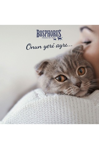Bosphorus Kuzu Etli Kedi Konserve Maması 48 X 415 Gr Parça Etli