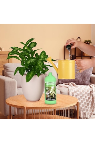 Lexroo Yeşil Yapraklı Bitkiler İçin Sıvı Bitki Besini Sıvı Gübre 1000 Ml