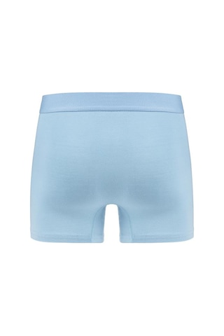 Efsi 3014 Erkek Boxer 001