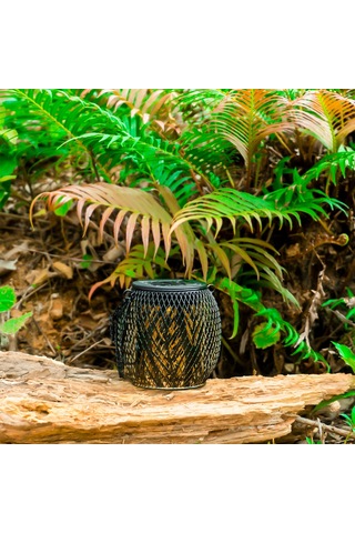 Cbtx Ty-hd01 2pcs Bahçe Güneş Enerjili Led Işıklar  - Yaprak Diğer