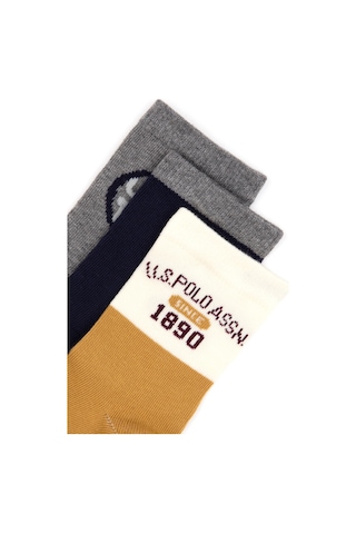 U.S. Polo Assn. U.s. Polo Assn. Erkek Çocuk Petrol Çorap Soket 50318049-vr151 Oıl