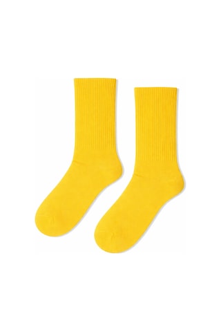 Carnaval Socks Düz Sarı Desensiz Renkli Spor Çorap Çok Renkli