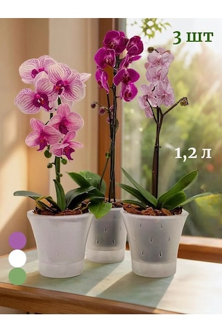 Live-in-green Orkide İçin Şeffaf Plastik Saksı Takımı 1,2l 342131428