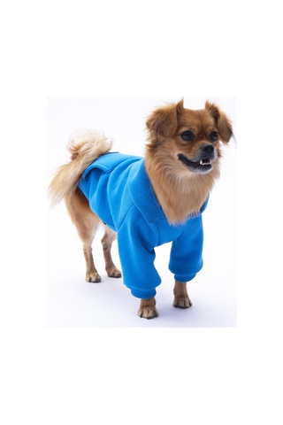 Mavi Kanguru Cepli Kedi-köpek Hoodie- Sweatshirt Kedi Köpek Kıyafeti
