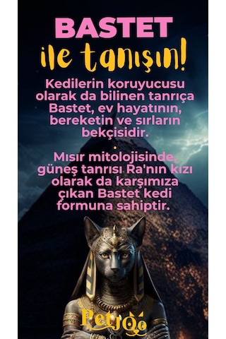 Petjoo 1.Bastet Sarı-Pembe Qr'lı Kedi Künyesi