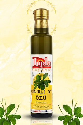 Sinirli Ot Özü Sinir Otu Plantago Hidrosolü 250 Ml %100 Saf
