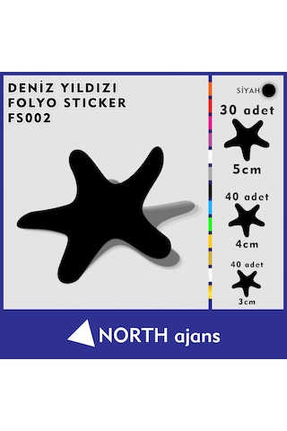Deniz Yıldızı Folyo Duvar Sticklerı Siyah