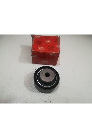 P206 EKSANTRİK GERGİ RULMANI GNR60070