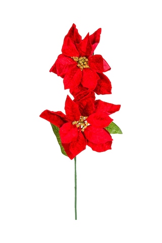 Yılbaşı Çiçeği Puansetya 2 Çiçekli Kırmızı 75 Cm.