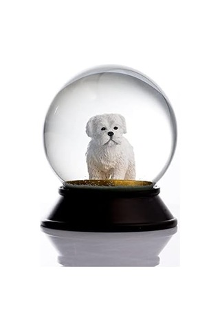Cam Ve Reçine Altın Patiler Köpek Maltese Terrier Kar Küresi Hediye