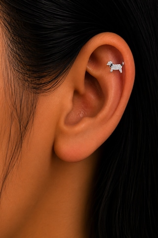 Sertifikalı 316l Çelik Taşlı Köpek Figürlü Siyah Tasma Detaylı Premium Gümüş Renk Tragus Ve Helix Pi