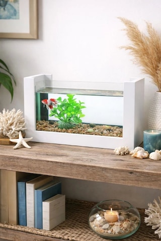 Reyo Ok-ay Store Beta Balığı İçin Ahşap Mini Akvaryum Modern Şık Doğal Minimal Tasarım Akvaryum Beyaz