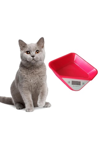 Homyl Dijital Pet Ölçeği Veteriner Hayvan Ağırlığı Köpek