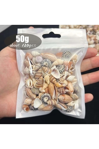Willowhaven 50g Mini Deniz Kabuğu Kumu - 12 Farklı Renk Dıy El İşi, Akvaryum Dekoru