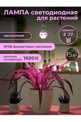 Uniel Fitolamba İçin Fide Ve Bitkiler 15 W E27 146246518 Violet