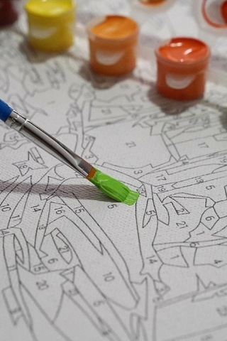 Sayılarla Boyama Tuval Seti 40x50 Cm - Renkli Çiçekler