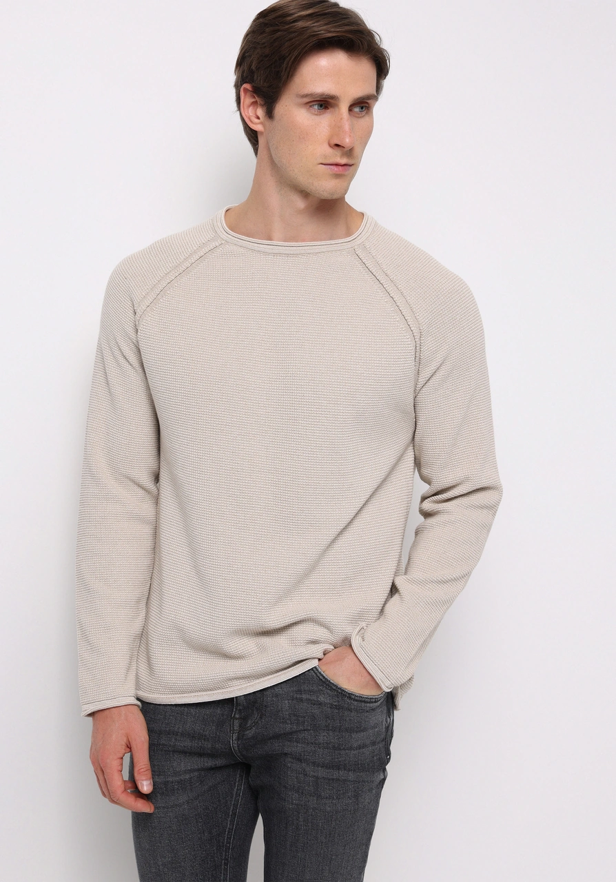 Colin's Colins Regular Fit Yuvarlak Yaka Jakarlı Erkek Bej Kazak Cl1076862 Q1.v2 Beı Bej