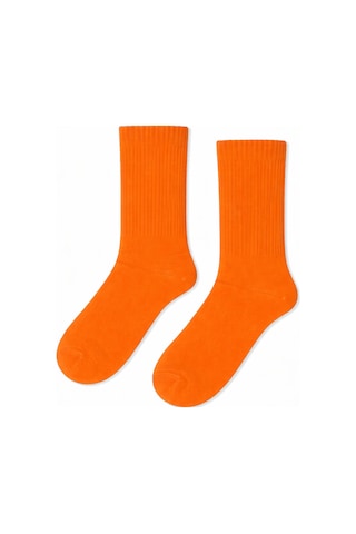 Carnaval Socks Düz Turuncu Desensiz Renkli Spor Çorap Çok Renkli