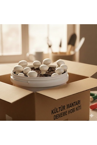Kültür Mantarı Deneme Hobi Kiti