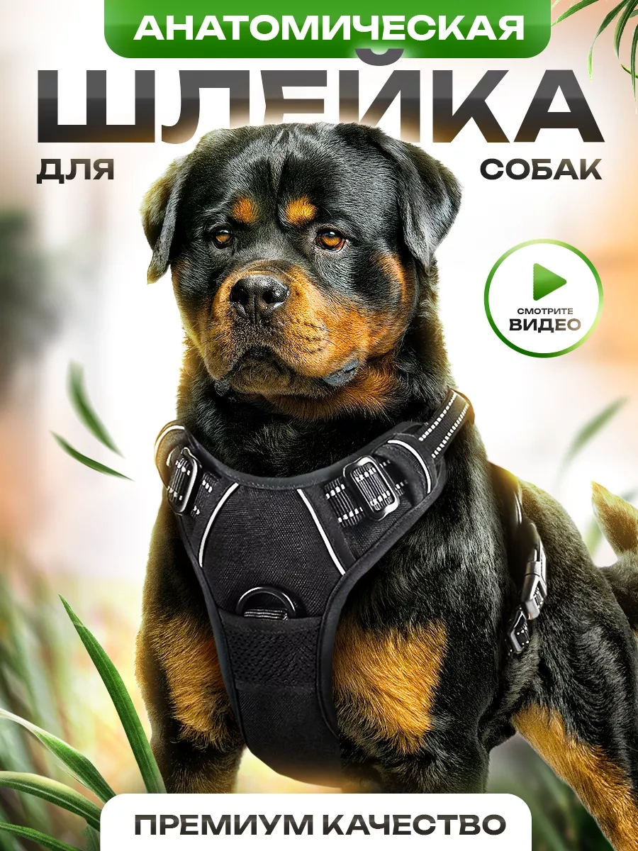 Petfort Orta Ve Büyük Irk Köpekler İçin Anatomik Koşu Kayışı 175383449 Siyah