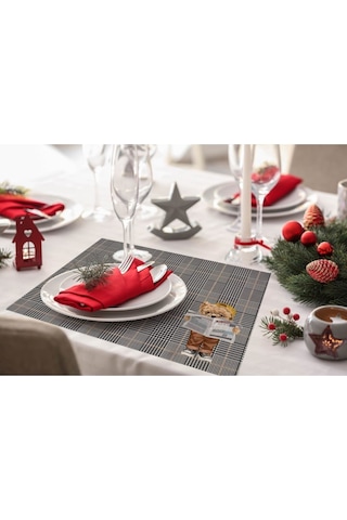 Teddies Kumaş Amerikan Servis 4'lü Set 35x50cm Keten Kumaş, Ulusl. Yıkama Ve Solmama Sertifikası Çok Renkli