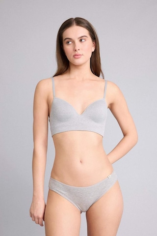 Defacto Ribana 3lü Brief Külot D6404ax26spar163 Antrasit-ar163