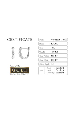 Beyaz Altın Sertifikalı Premium Created Taşlı Yarım Halka Küpe Beyaz Altın