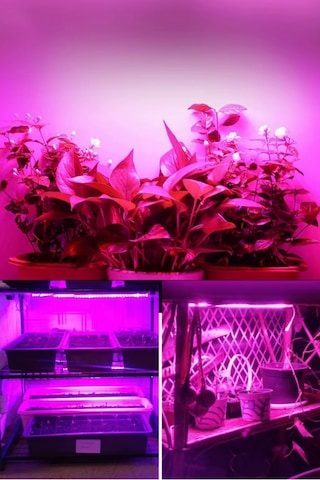 Alüminyum Kasalı Çubuk Bar Led 12v 72 Ledli 5730 Şeffaf Cam Grow Led Full Spectrum Bitki Yetiştirme Ledi