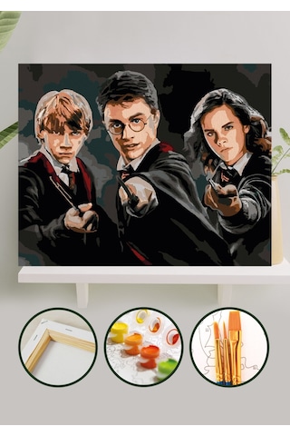 Sayılarla Boyama Tuval Seti 40x50 Cm - Harry Potter