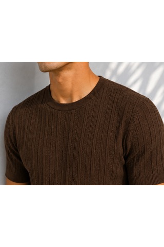 Ribana Erkek Bisiklet Yaka Kısa Kollu Esnek Örme Triko T-shirt 26091 Kahverengi