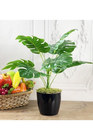 Yapay Çiçek Monstera 9 Dal Siyah Plastik Saksılı Deve Tabanı Deko