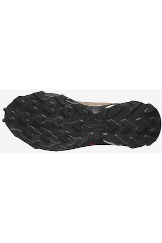 Salomon Alphacross 5 Erkek Koşu Ayakkabı - Kahverengi