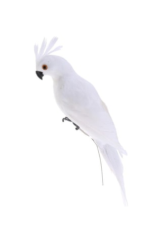 Maotai 4 Gerçekçi Canlı Macaw Papağan Figürinler Kuşlar Model Bahçe Süslemesi