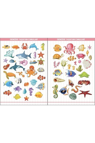 Eğitim Etiketleri Denizde, Havada, Karada Yaşayan Canlılar Figürler, 135 Adet Opak Sticker Renkli