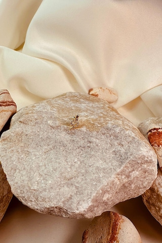 Taşlı Kobra Kıvrak Yılan Tasarım Gold Renk Stainless Steel Çelik Piercing Tragus Helix