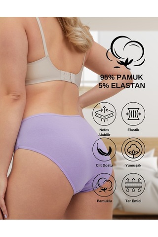 Alya Underwear Pamuklu Kadın Külot Slip Empirme Baskılı Yüksek Bel İç Çamaşırı - 5'li Paket - Lacivert Çok Renkli P28 Lila