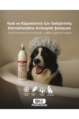 Bio Petactive Dermahexidine Antiseptik Kedi Şampuanı 250 ML