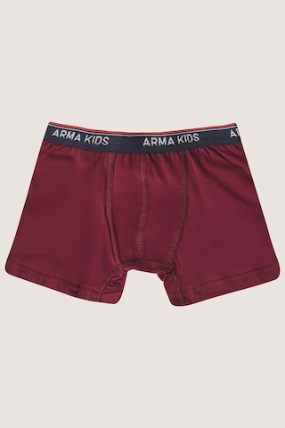 Arma Yıldız Erkek Çocuk Boxer 6'lı Paket Renkli, Pamuklu Ve Likralı Esnek Kumaş Çok Renkli