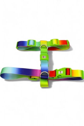 Caramelos Köpek Tasma Seti Kişiye Özel Künyeli İsimli Tasma Çkrnk Çok Renkli