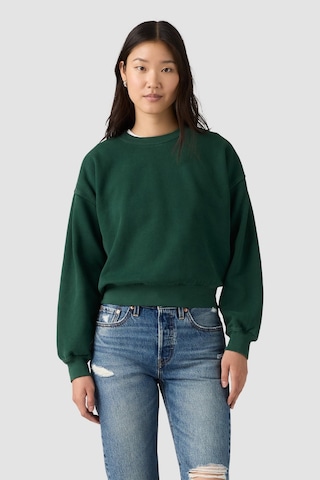 Levi's Kadın Vintage Bol Kesim Sweatshirt H226-pine Grove Şardonlu Yeşil Polar-24607