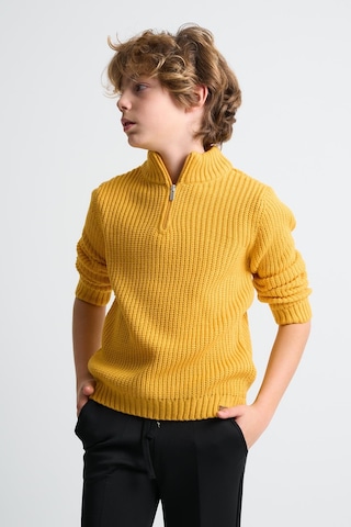 Alexandergardı Dik Yaka Fermuarlı Erkek Çocuk Kazak C23-7108 Hardal