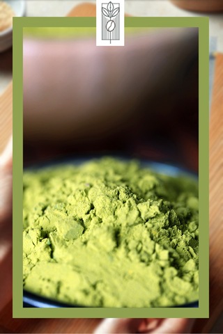 Organik Gotu Kola Tozu 50g, Premium Herbal Powder, Organik Vegan Katkısız