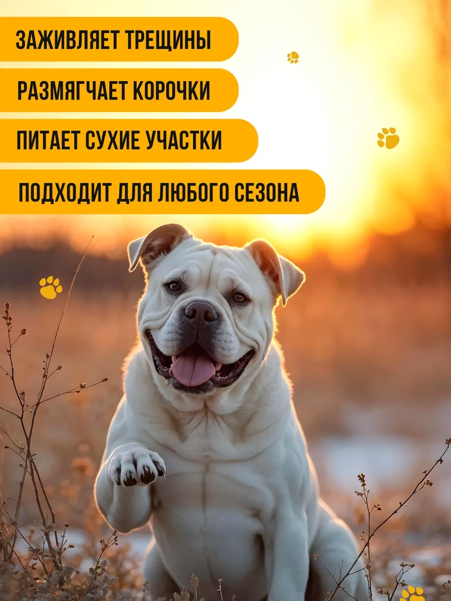 Spets Pati Ve Burun İçin Koruyucu Balmumu, 15 Ml 269936867