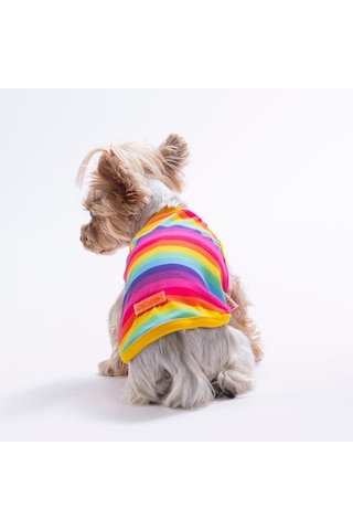 Rainbow Tişört Kedi Köpek Tişörtü-kedi Köpek Kıyafeti