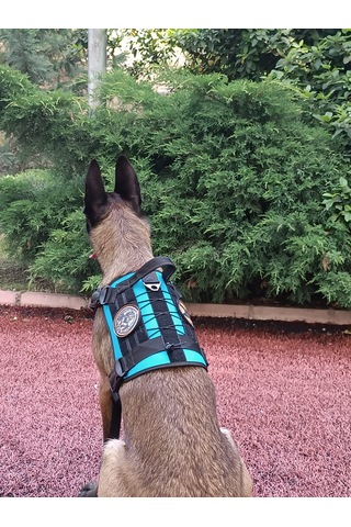 Tactical Göğüs Tasması Taktik Tasma Turkuaz Turkaz