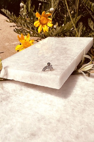 Star Sıra Yıldız Tasarım Zirkon Taşlı Şık Gümüş Renk Çelik Piercing Tragus Helix Stainless Steel Gümüş